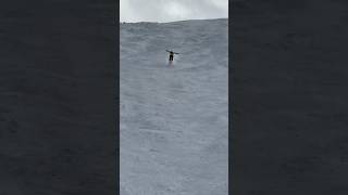 SKIER STRAIGHT LINES DOUBLE BLACK DIAMOND #freeskiing #ski #alexhackel #viral #thealps #1000skis