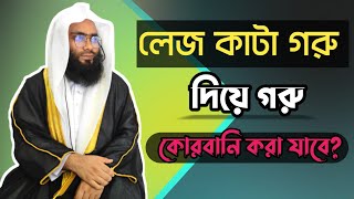 ইসলামিক নিয়মে কোরবানির পশু নির্বাচন//মাওলানা মুফতি ফখরুদ্দীন কাসেমি//Dawatul HuQ