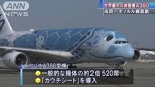 ANAの超大型A380が就航開始　ハワイ便顧客奪い合い(19/05/25)