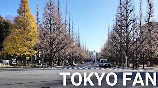 外苑散歩 |【4K】 Walking Gaien Tokyo Japan (Dec. 2024)