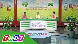 Tư vấn Khuyến nông - 18/9/2017 | Tập đoàn Lộc Trời | THDT