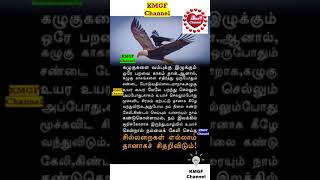 நம்மை கேலி செய்த சில்லறைகள் எல்லாம் தானாகச் சிதறிவிடும் || Motivational speech in Tamil @kmgfchannel