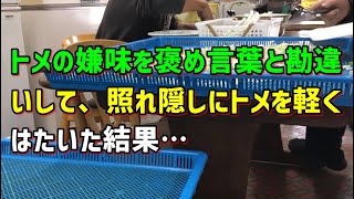 【スカッとひろゆき】【ワロタｗｗｗ】トメの嫌味を褒め言葉と勘違いして、照れ隠しにトメを軽くはたいた結果…