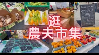 逛農夫市集：有機農產品琳琅滿目，實在抵買我買了它們~ Visit Coquitlam Farmers market～lots local organic produce #vlog