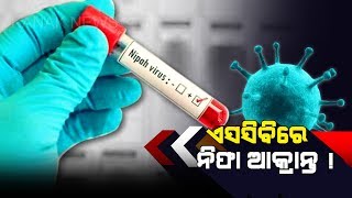 8 Youths of Balasore Infected With Unknown Virus Admitted To SCB, Nipah Virus Suspected