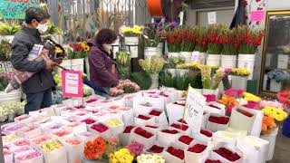 [愚人視覺] 洛杉磯市中心的花類批發市場 - Flower District in Downtown Los Angeles.