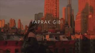 Yaprak Gibi (Slowed + Reverb)