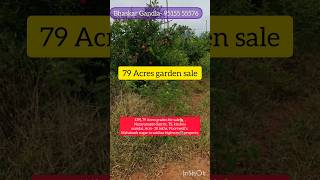 79 Acres graden for sale🏡 || Narayanapet district || TS, krishna mandal, Acre- 30 lakhs,9 borewell's