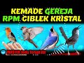 master kemade gereja rpm ciblek kristal jeda terapi air ampuh