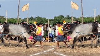 ఎద్దుల గూటీ బల ప్రదర్శన పోటీలు ఘంటసాల, కృష్ణాజిల్లా!! Bull Race Competition Ghantasala Krishna dist