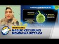 Efek Kecubung, Bisa Sefatal Apa? - [Newsline]