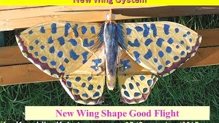 Butterfly 46 Small 90cm New Wing System : New Wing Shape :Very Good Flight