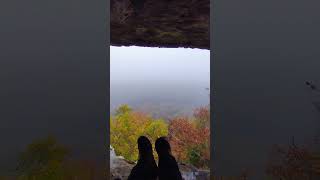 Another View from Thunderbird Shelter #arkansas #ozarks #cave #shelter #autumn #views