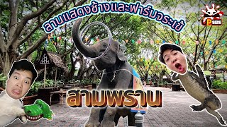 Real Review EP : 3 ลานแสดงช้างและฟาร์มจระเข้ l UpSize l สามพราน2024