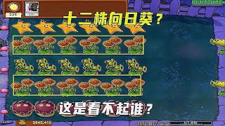 植物大战僵尸：十二株向日葵？这是看不起谁呢