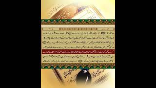 Surah Al-Imran | Quran Translation | Islamic Whatsapp Status | Quran | AlQuran | قران
