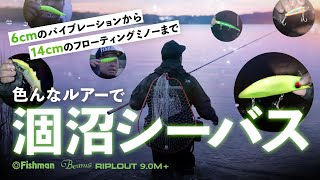 【6cmから14cmまで】ルアーローテで攻め落とす涸沼シーバス／Beams RIPLOUT9.0M+