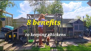 8 REASONS why you SHOULD keep chickens! [That Backyard Chick]