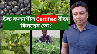 উচ্চ ফলনশীল Certified বীজ কিনছেন তো? / Summer Season's Blackgram Best Variety