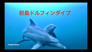 初島ドルフィンダイブ