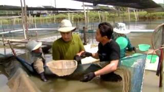 ฉันรักเมืองไทย28-05-54 part 1