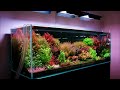 weekaqua a series a430pro b dutch planted aquarium led full spectrum water plant light