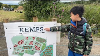 英國好去處 摘士多啤梨 🍓 Pick your own strawberries at Kemps