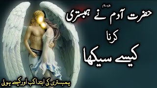 Hazrat Adam ne hambistari karna kaise sekha | History mubashrat | Islamic story | Urdu & Hindi
