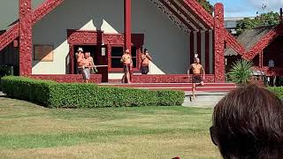 Maori  Performance from Rotorua