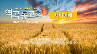 역곡동교회 21.11.14(주일) 새벽예배