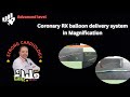 Coronary Rx balloon catheter structure in Magnification, Dr Alaa Nasr, 2024