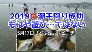 ポイント解説付き【潮干狩り】無料でハマグリの居る場所はここ。大洗サンビーチ