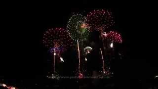 2014 Mushroom Fireworks 長野えびす講煙火 紅屋青木煙火店