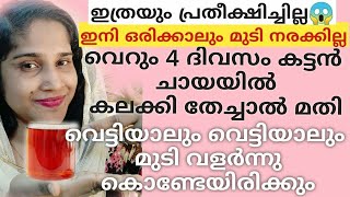 😱കട്ടൻ ചായയിൽ കലക്കി തലയിൽ തേക്കൂ വെറും4 ദിവസം നരച്ച മുടിയും കറുപ്പാക്കും l long hair tips Malyalam