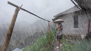 Walking in Heavy Rain Accompanied by Strong Wind | Heavy Rain hit Mountain Villages | Rain for Sleep