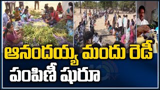 ఆనందయ్య మందు రెడీ... పంపిణీ షురూ | Anandayya Medicine Distribution Started | 10TV News