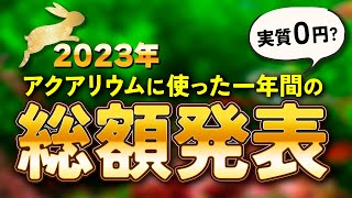 【2023年】１年間でアクアリウムにいくら使った？ 衝撃の合計金額とビバアクアの主観 #アクアリウム #熱帯魚 【ビバアクア】