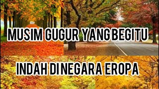 Jalan Jalan Menikmati Musim Gugur ll Di Negara Eropa