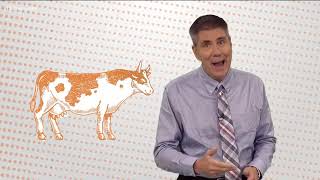 Why are footballs known as pigskins?