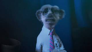 Meerkat Movies Carl and Sergei Compliation