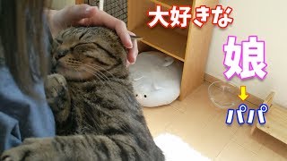 大好きな娘からパパにバトンタッチ♪現実は非情でしたｗ【すずとコテツ】