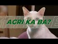 agritv kasama sa hanapbuhay may 4 2024 agri ka ba cats khaomaneebreed