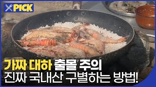 [🍴뉴스픽] 내가 먹은 🦐'대하'가 가짜? 진짜 구분하는 방법! | KBS  211102