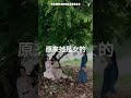 他发现她是女扮男装 dilireba shorts 迪丽热巴 thelongballad 长歌行