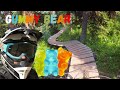 Sun Peaks Bike Park - Gummy Bear