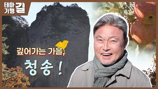 2024.11.29 (금) 테마기행 길 / 안동MBC