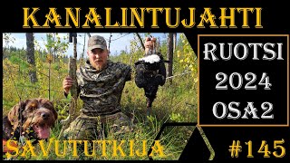 Jahti jatkuu: Kanalinnun aloitus Ruotsissa 2024 OSA2 - Grouse and Capercaillie Hunting in Sweden