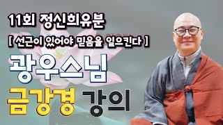 [ 광우스님 금강경 11회 ] 정신희유분  선근이 있어야 믿음을 일으킨다