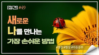 [정견] #49 - 새로운 나를 만나는 손쉬운 방법