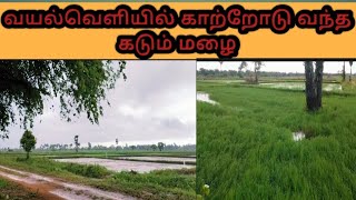 வயல்வெளியில் காற்றோடு வந்த கடும் மழை.🌾🍂|VR VLOG|tamil|kilinochchi|poonakary|sri lanka..